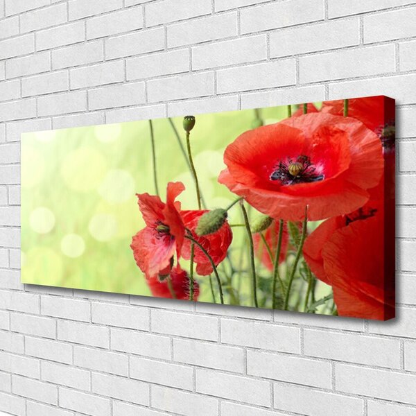 Obraz Canvas Maky kvety príroda 125x50 cm