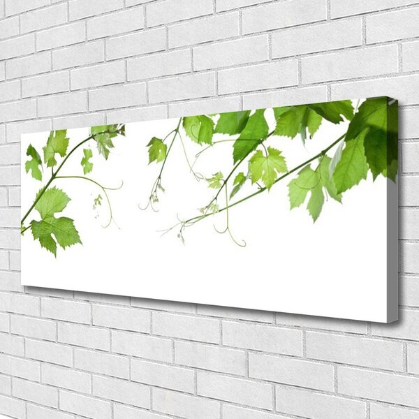 Obraz Canvas Vetvy listy príroda kvety 125x50 cm