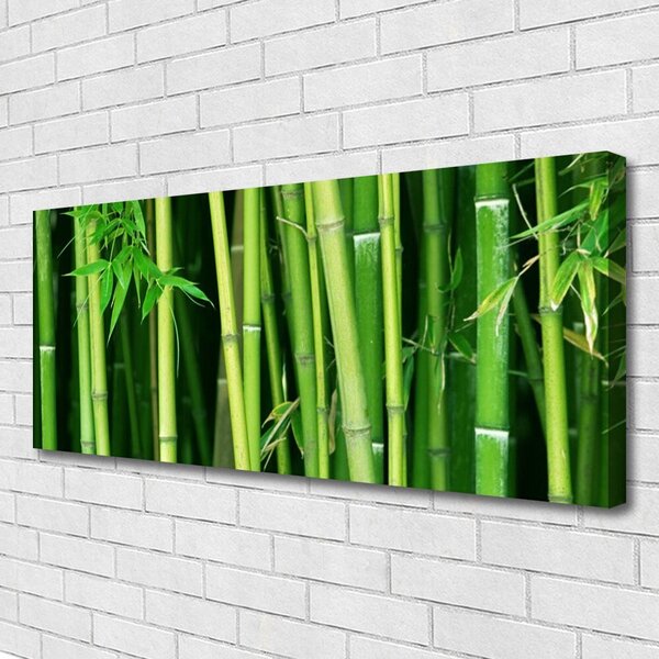 Obraz Canvas Bambusový les bambus príroda 125x50 cm