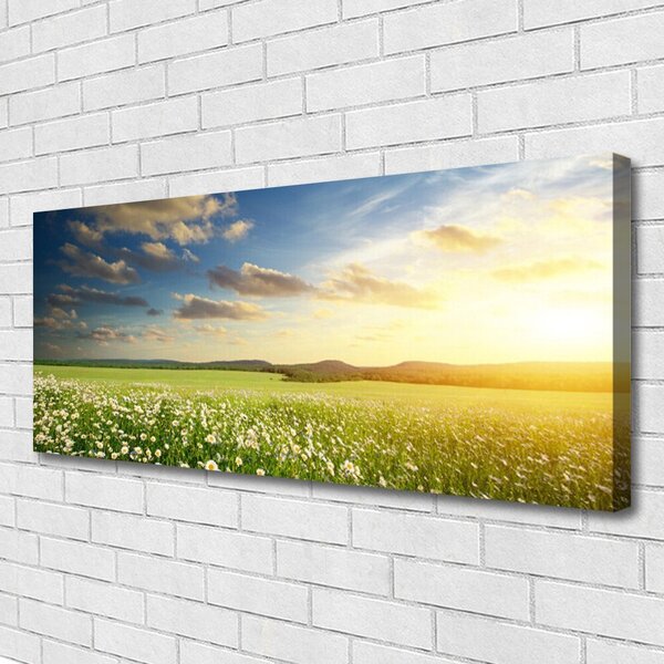 Obraz Canvas Lúka kvety príroda 125x50 cm