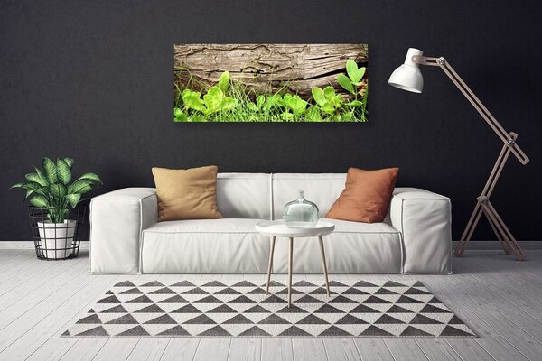Obraz Canvas Tráva listy kvety 125x50 cm