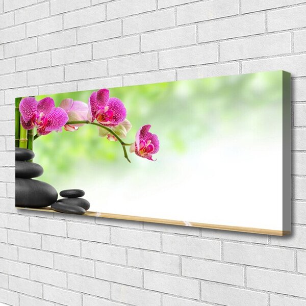 Obraz Canvas Bambusové výhonky kamene zen kúpele 125x50 cm