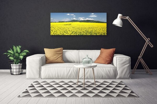 Obraz Canvas Pole lúka príroda repky olejnej 125x50 cm