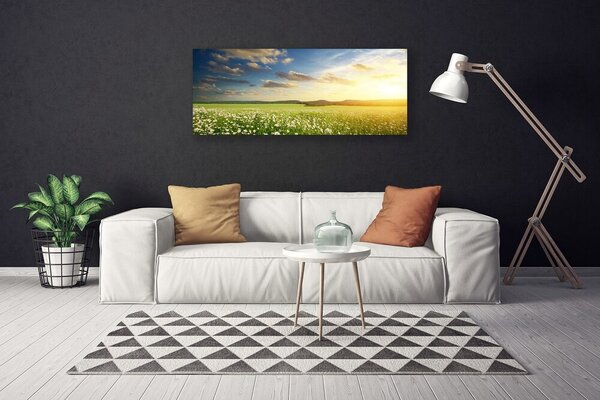 Obraz Canvas Lúka kvety príroda 125x50 cm