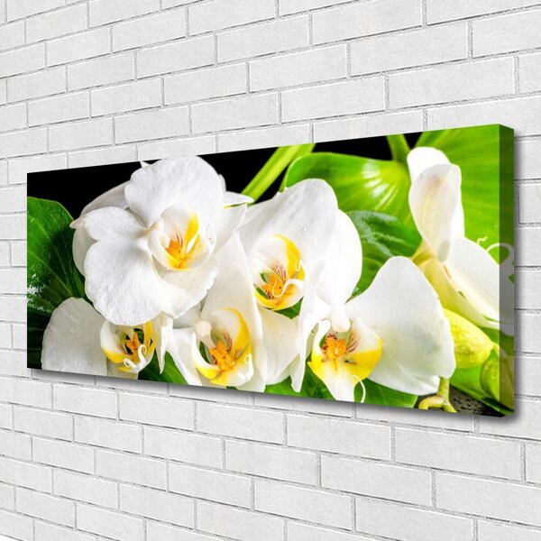 Obraz Canvas Orchidea kvety príroda 125x50 cm
