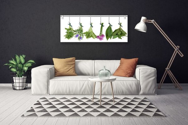 Obraz Canvas Sušené byliny listy kvety 125x50 cm