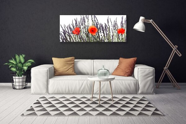 Obraz Canvas Kvety maky pole trávy 125x50 cm
