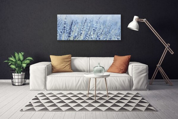 Obraz Canvas Kvety klasy lúka príroda 125x50 cm