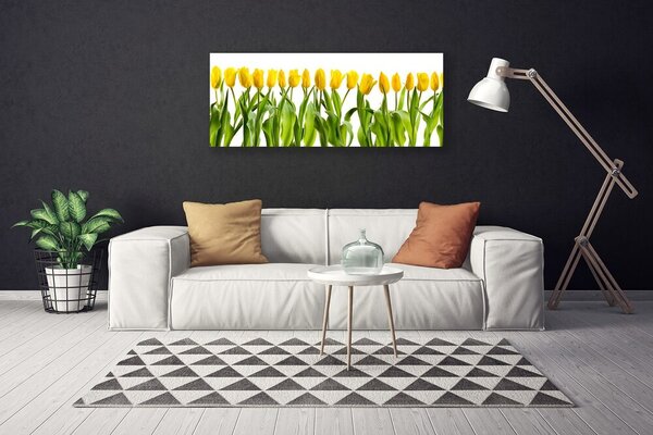 Obraz Canvas Tulipány kvety príroda 125x50 cm