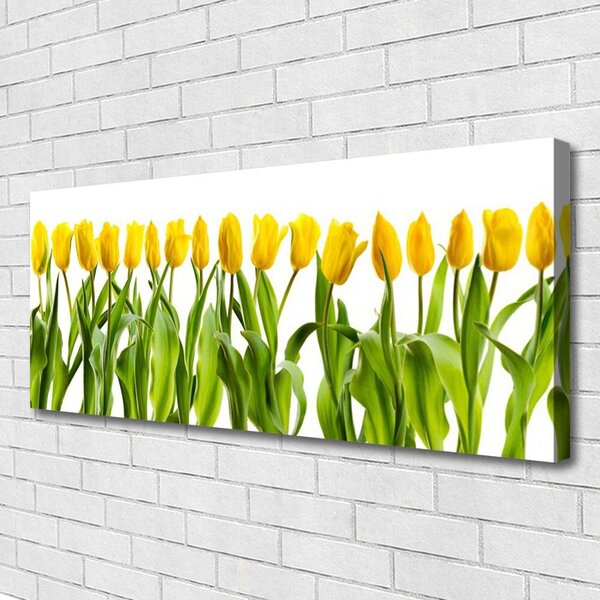 Obraz Canvas Tulipány kvety príroda 125x50 cm