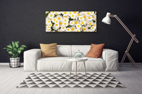 Obraz Canvas Sedmokrásky kvety 125x50 cm