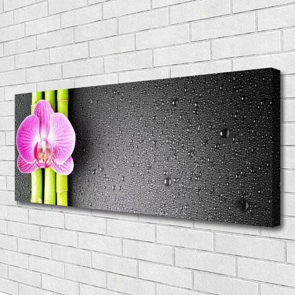 Obraz Canvas Bambus kvet orchidea 125x50 cm
