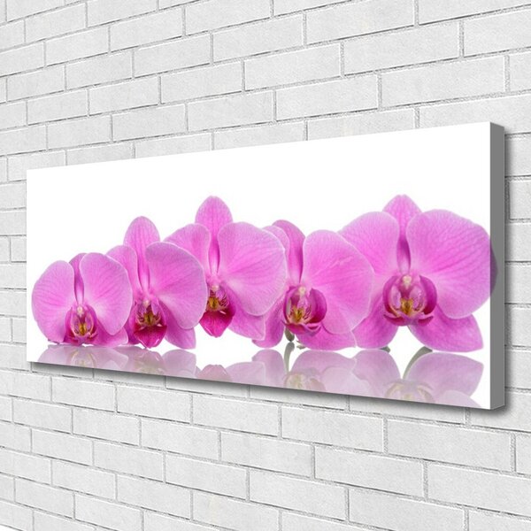 Obraz Canvas Ružová orchidea kvety 125x50 cm