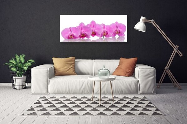 Obraz Canvas Ružová orchidea kvety 125x50 cm