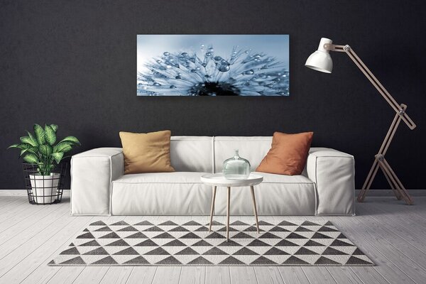 Obraz Canvas Púpava kvet kvapky 125x50 cm