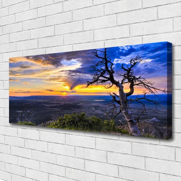 Obraz Canvas Strom zápas slnko 125x50 cm
