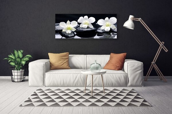 Obraz na plátne Kvet kamene rastlina 125x50 cm