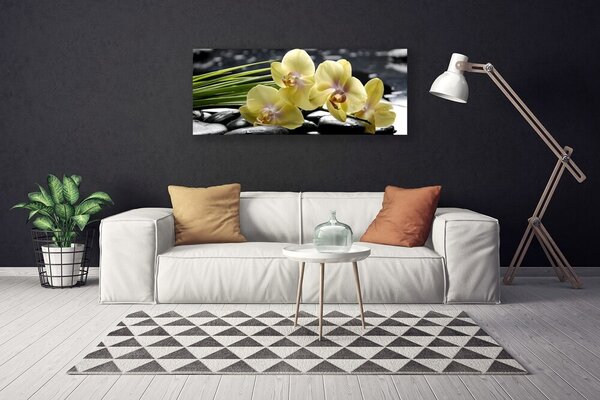 Obraz na plátne Kvety rastlina príroda 125x50 cm