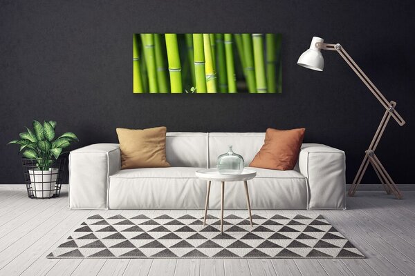 Obraz na plátne Bambus príroda rastlina 125x50 cm