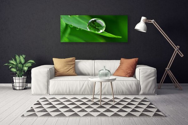 Obraz na plátne List voda kvapka rastlina 125x50 cm