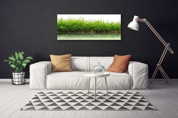 Obraz na plátne Tráva voda príroda rastlina 125x50 cm