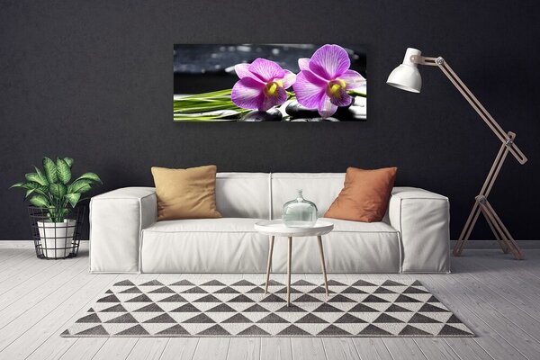 Obraz na plátne Kvety rastlina príroda 125x50 cm