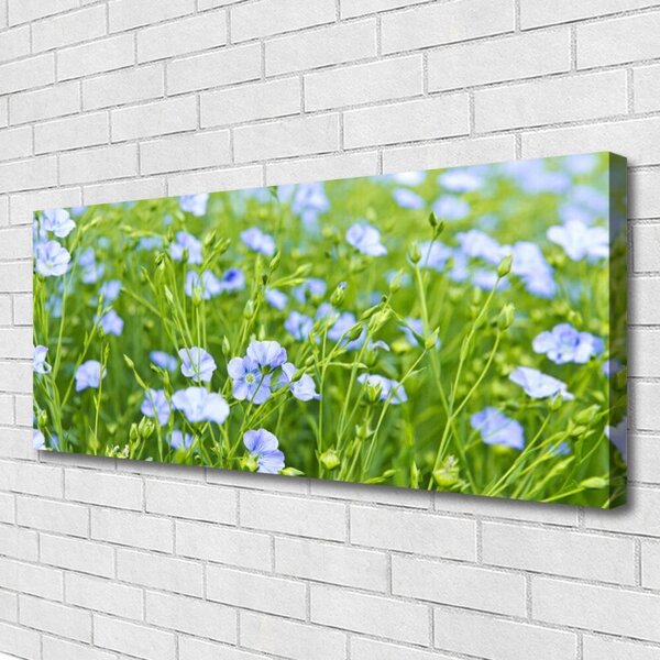 Obraz na plátne Kvety tráva rastlina príroda 125x50 cm