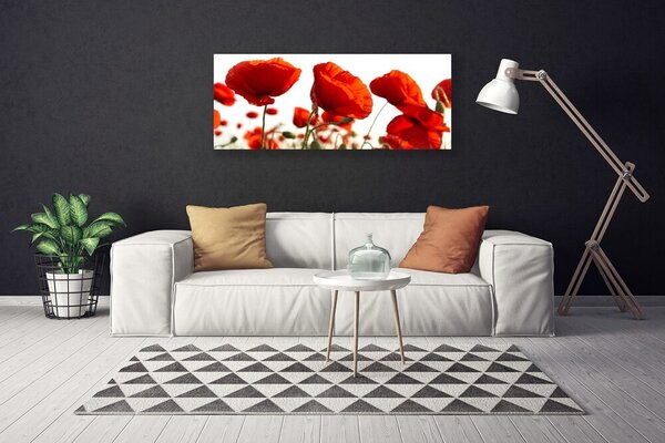 Obraz na plátne Maky rastlina príroda 125x50 cm