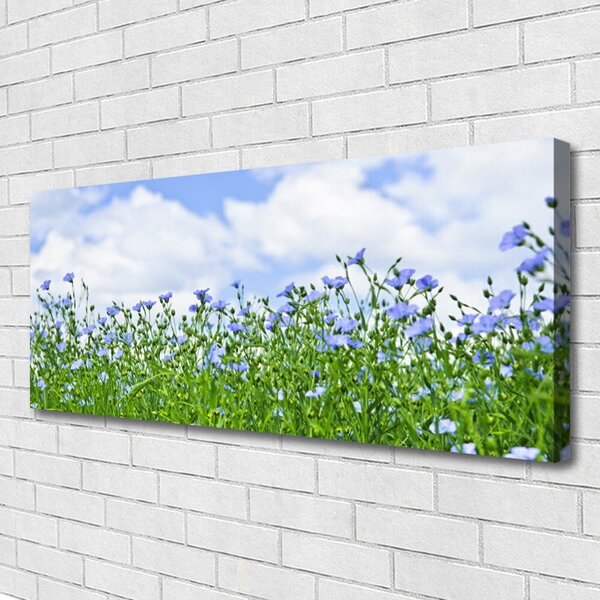 Obraz na plátne Kvety rastlina príroda 125x50 cm