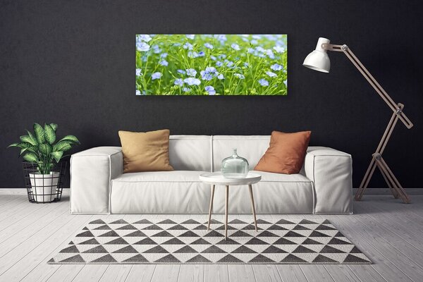 Obraz na plátne Kvety tráva rastlina príroda 125x50 cm
