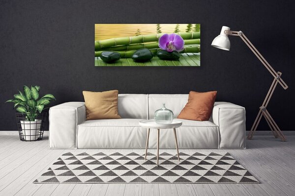 Obraz na plátne Kvet kamene bambus príroda 125x50 cm