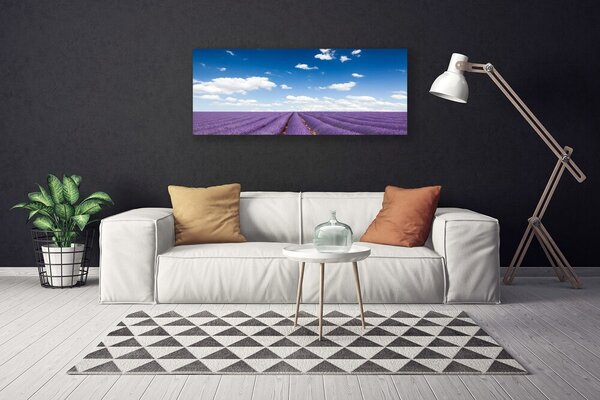 Obraz na plátne Lúka kvety príroda rastlina 125x50 cm