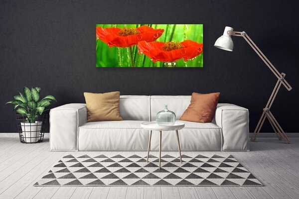 Obraz na plátne Maky rastlina príroda 125x50 cm
