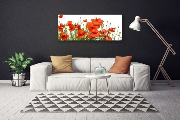 Obraz na plátne Maky rastlina príroda 125x50 cm