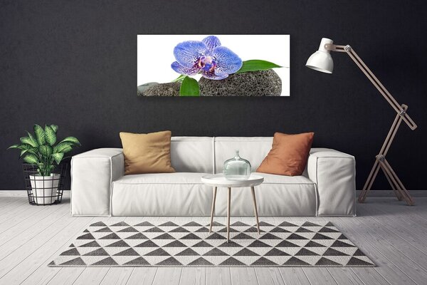 Obraz na plátne Kvet rastlina príroda 125x50 cm