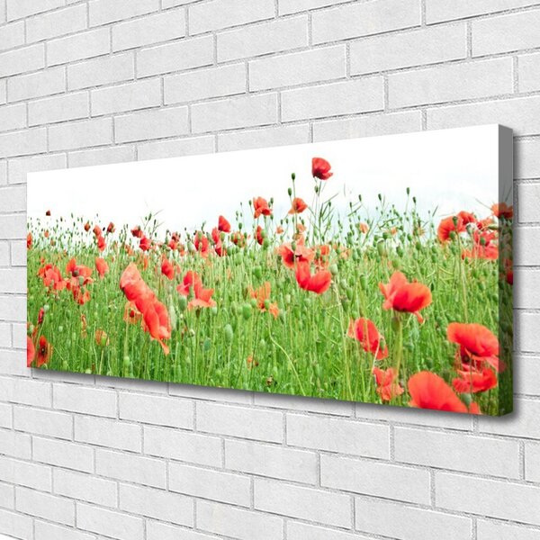 Obraz na plátne Maky rastlina príroda 125x50 cm