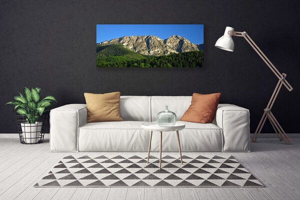 Obraz na plátne Hora les príroda 125x50 cm