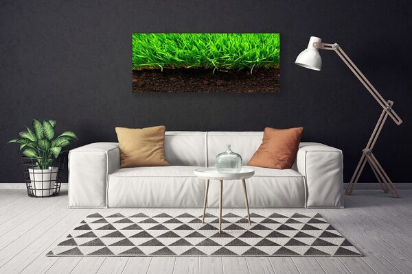 Obraz na plátne Tráva príroda rastlina 125x50 cm