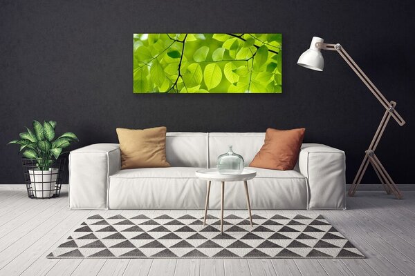 Obraz na plátne Listy príroda rastlina 125x50 cm