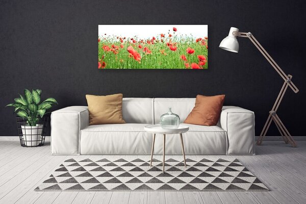 Obraz na plátne Maky rastlina príroda 125x50 cm