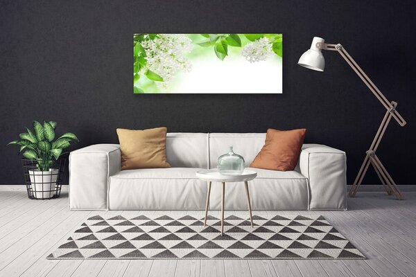 Obraz na plátne Plátky rastlina príroda 125x50 cm