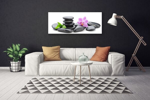 Obraz na plátne Kvet kamene umenie 125x50 cm