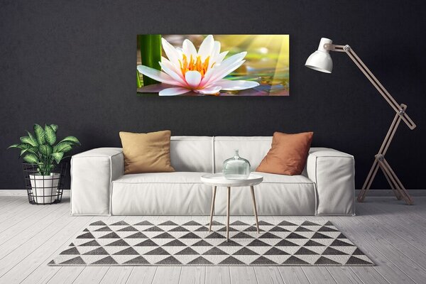 Obraz na plátne Kvety rastlina príroda 125x50 cm