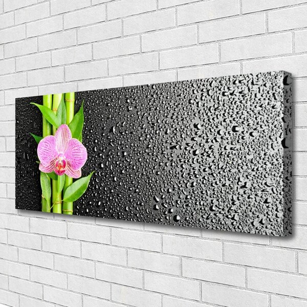 Obraz na plátne Bambus stonky kvet rastlina 125x50 cm