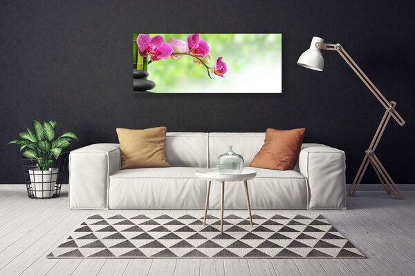 Obraz na plátne Kvet kamene rastlina 125x50 cm