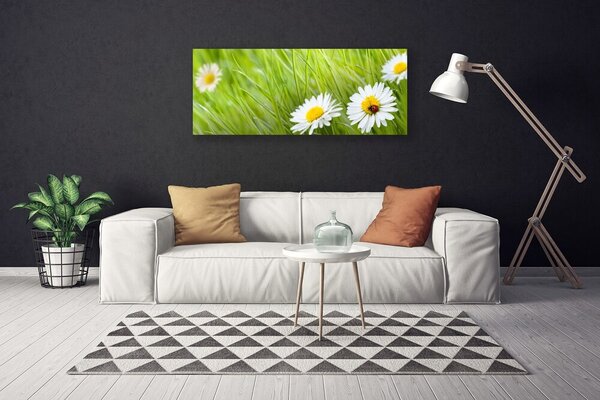 Obraz na plátne Tráva sedmokrásky príroda 125x50 cm