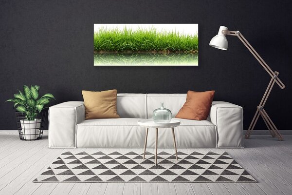 Obraz na plátne Tráva príroda rastlina 125x50 cm
