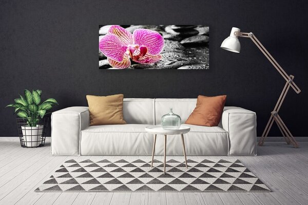 Obraz na plátne Kvet kamene rastlina 125x50 cm