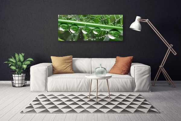 Obraz na plátne Pavučina kvapka rastlina 125x50 cm