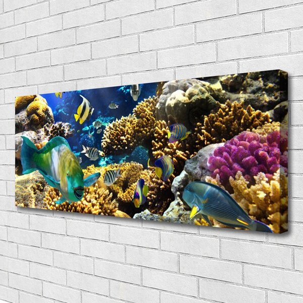 Obraz na plátne Koralový útes príroda 125x50 cm